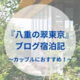 『八重の翠東京』ブログ宿泊記〜カップルにおすすめ〜